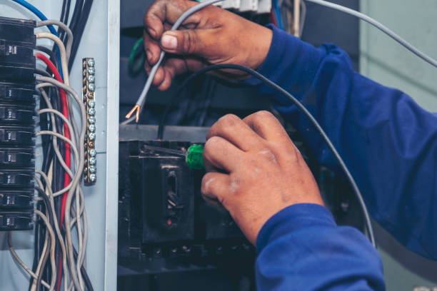 Best Electric Panel Repair  in Manatee Road, FL