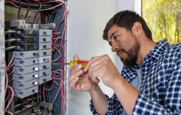 Best Local Electrician Companies  in Manatee Road, FL
